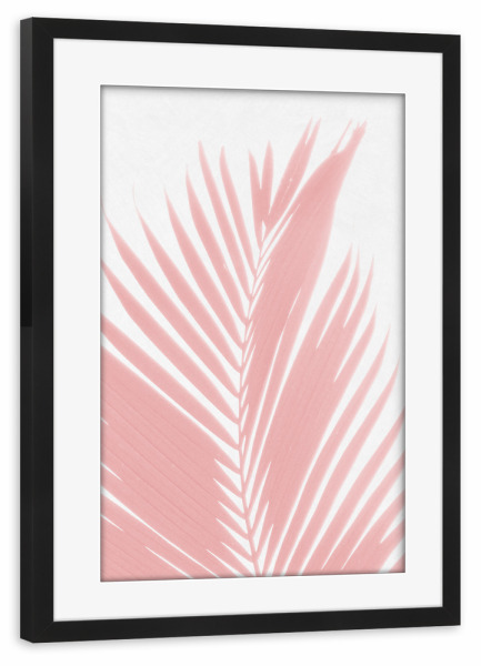 Poster mit Rahmen schwarz "Pink Palm Foliage on White" artboxONE - Natur - Natur,Botanik,Laub,Pflanze,Blätter,Sauber,Pastell,Gedämpft,Modern,Morandi
