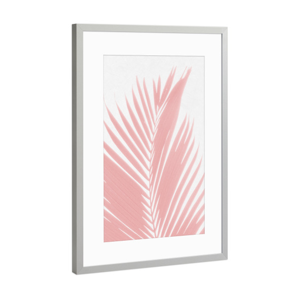 Poster mit Rahmen Silber "Pink Palm Foliage on White" artboxONE - Natur - Natur,Botanik,Laub,Pflanze,Blätter,Sauber,Pastell,Gedämpft,Modern,Morandi