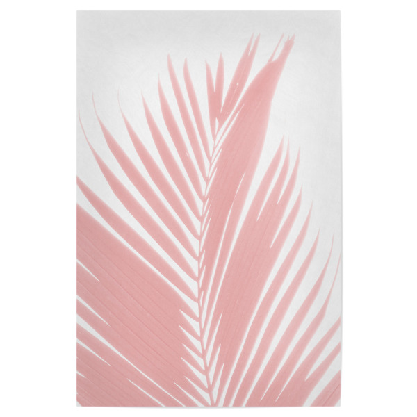 Poster 30x20 cm "Pink Palm Foliage on White" artboxONE - Natur - Natur,Botanik,Laub,Pflanze,Blätter,Sauber,Pastell,Gedämpft,Modern,Morandi