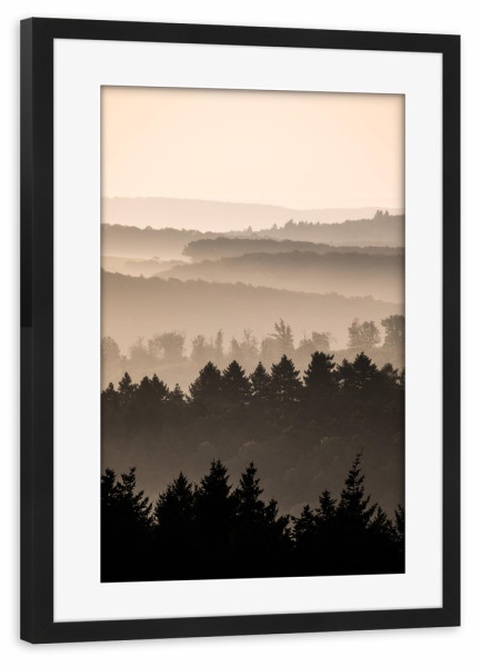 Poster mit Rahmen schwarz "Waldsilhouetten" artboxONE - Natur