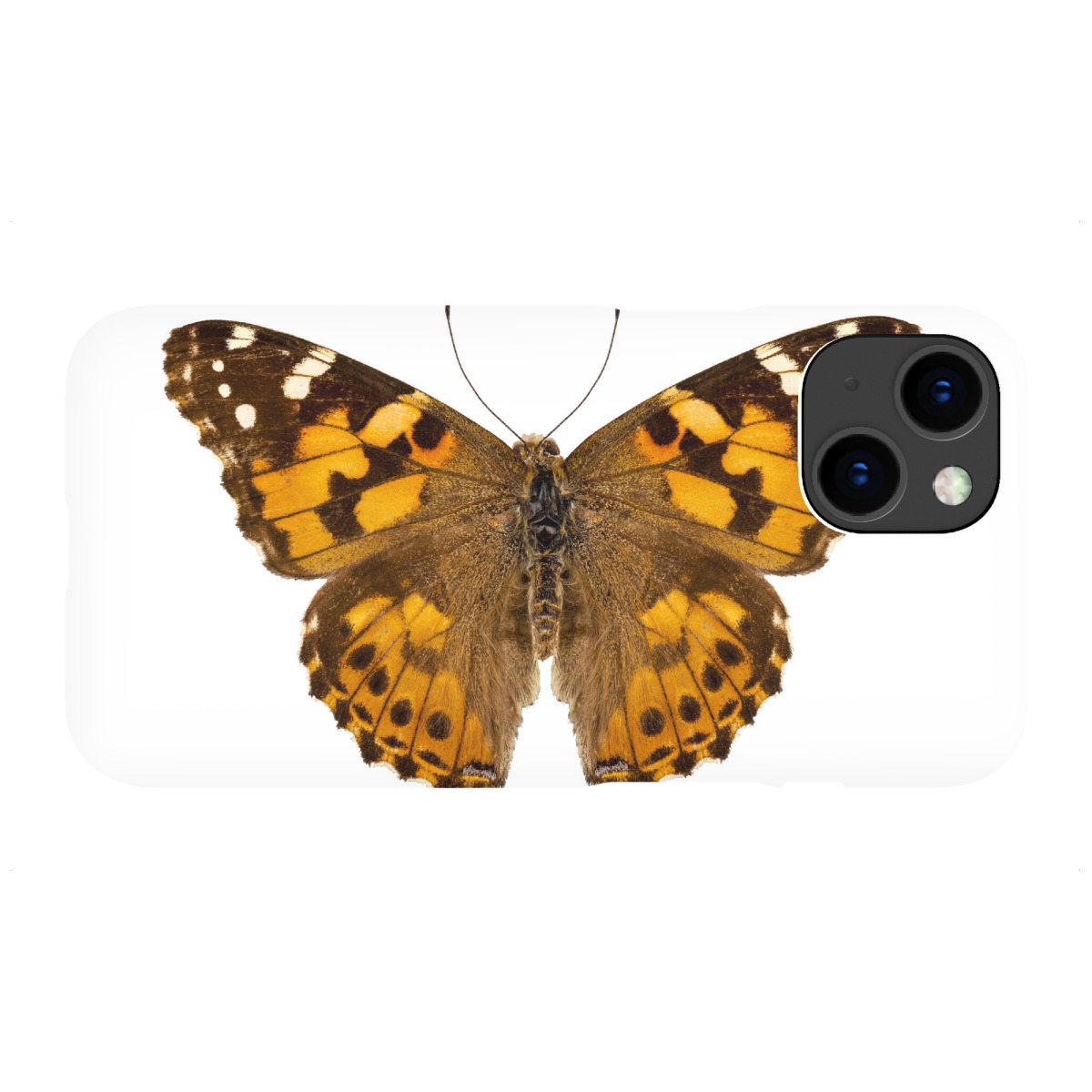 "Schmetterlingsart Vanessa cardui"für iPhone - Premium-Case Handyhülle artboxONE