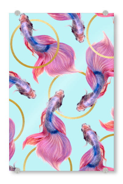 Acrylglasbild "HullaHoops" artboxONE - Tiere