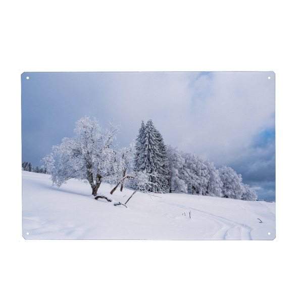 Metall Poster "Schnee und Bäume" artboxONE - Natur,Reise