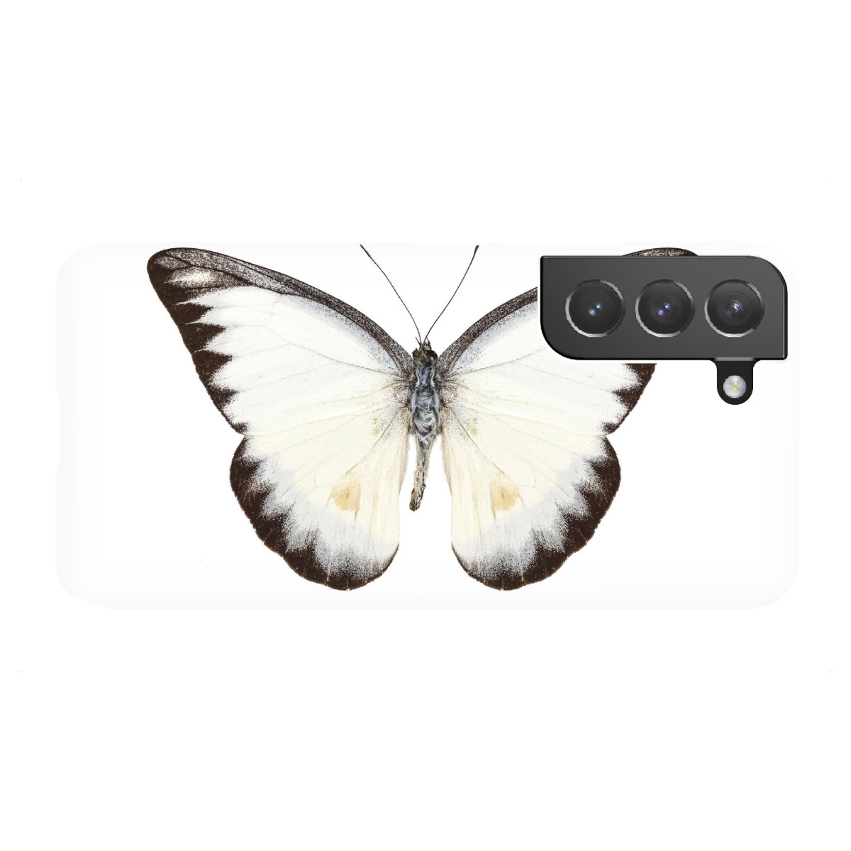 "White butterfly species Appias"für Samsung Galaxy - Premium-Case Handyhülle artboxONE