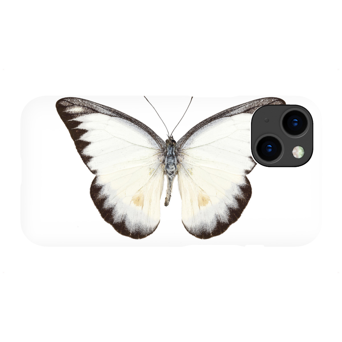 "White butterfly species Appias"für iPhone - Premium-Case Handyhülle artboxONE