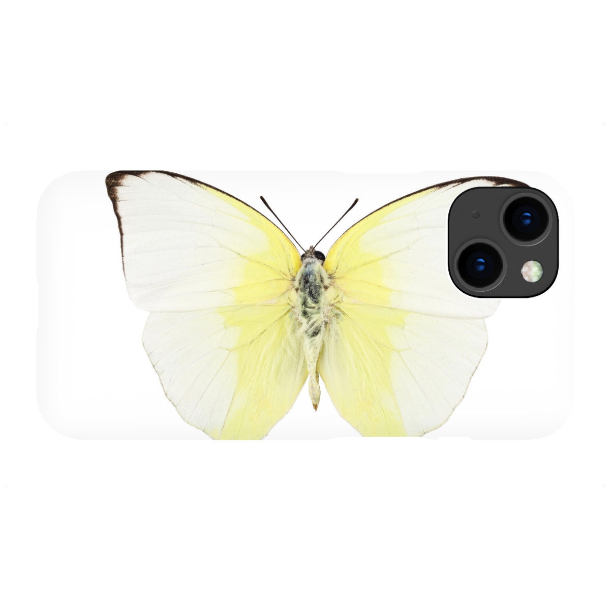 iPhone "Phoebis Statira" Premium-Case Handyhülle artboxONE