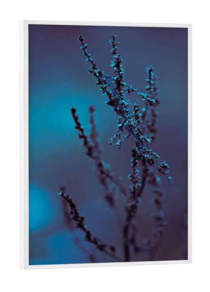 Poster mit weißem Rahmen "Bokeh Pflanze" artboxONE - Natur