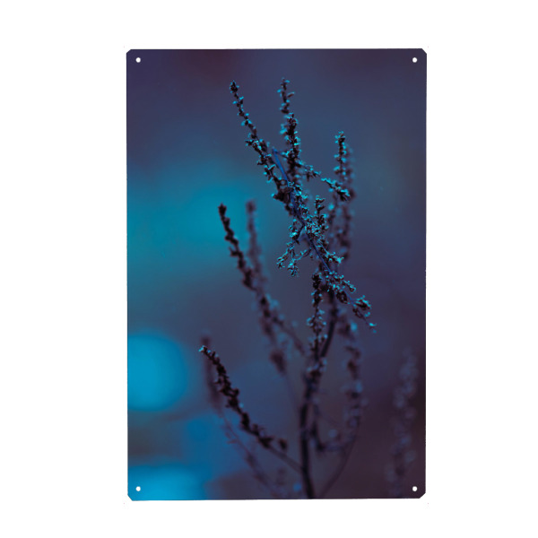 Holzbild "Bokeh Pflanze" artboxONE - Natur