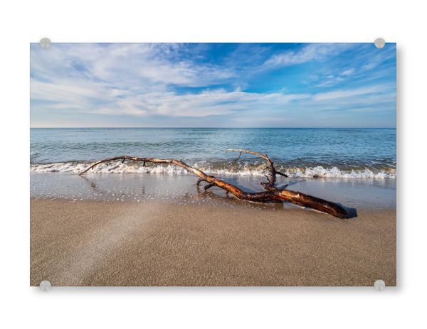 Acrylglasbild "Strand, Baumstamm und Welle" artboxONE - Natur,Reise,Reise / Strand und Meer