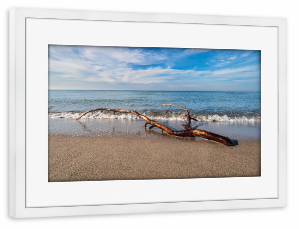 Poster mit Rahmen weiß "Strand, Baumstamm und Welle" artboxONE - Natur,Reise,Reise / Strand und Meer