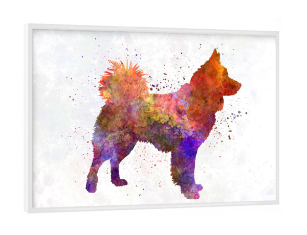Poster mit weißem Rahmen "Icelandic Sheepdog in watercolor" artboxONE - Tiere,Abstrakt