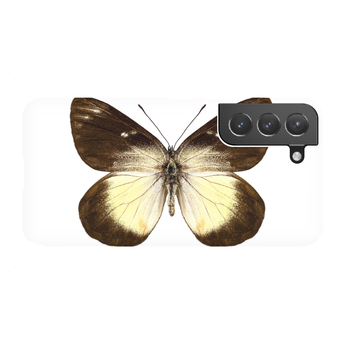 Samsung Galaxy "Butterfly species Delias" Premium-Case Handyhülle artboxONE