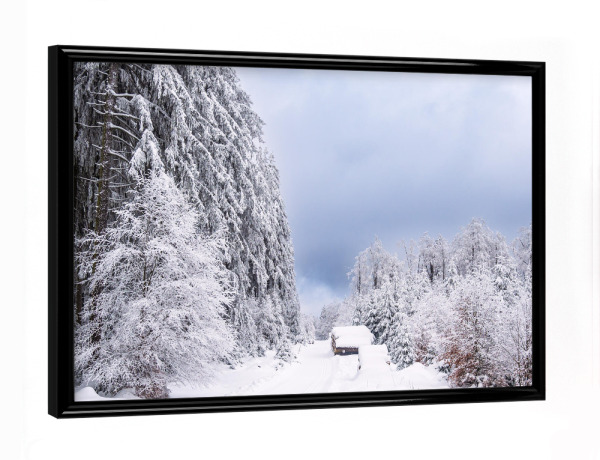 Poster mit schwarzem Rahmen "Wald und Weg im Schnee" artboxONE - Natur,Reise