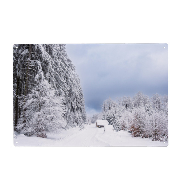 Holzbild "Wald und Weg im Schnee" artboxONE - Natur,Reise