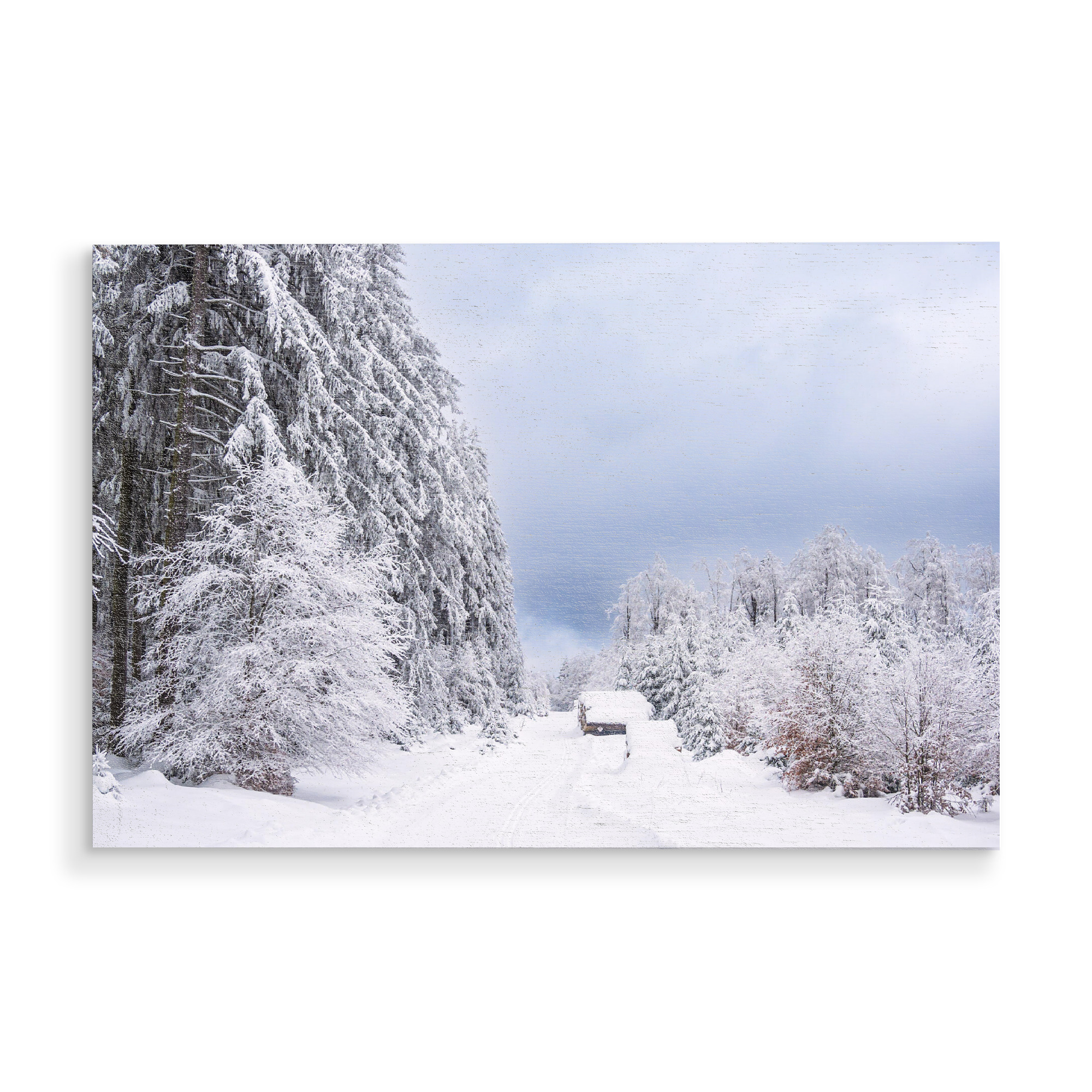 Holzbild "Wald und Weg im Schnee" artboxONE - Natur,Reise