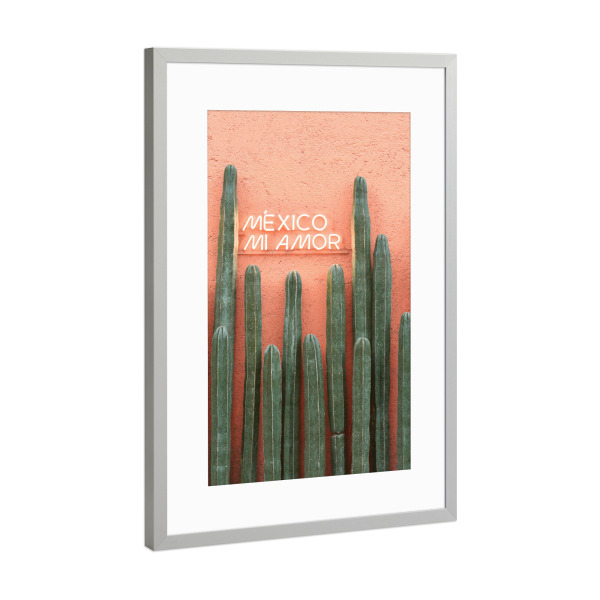 Poster mit Rahmen Silber "Mexiko Mi Amor" artboxONE - Natur,Reise,Floral,Für Mama,Für Papa