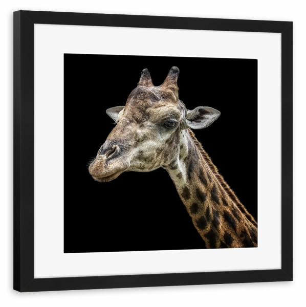 Poster mit Rahmen schwarz "Safari-Souvenir" artboxONE - Natur,Reise,Tiere,Reise / Afrika,Reise / Länder