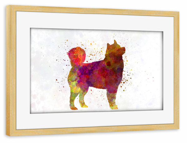 Poster mit Rahmen kiefer "Heiserer alaskischer Hund" artboxONE - Tiere,Abstrakt