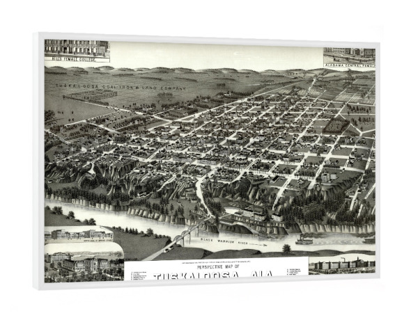 Poster mit weißem Rahmen "Alte Tuscaloosa-Alabama-Karte" artboxONE - Kartografie