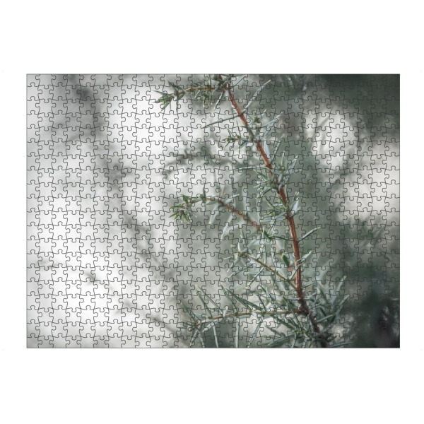 Puzzle Ravensburger "Wacholder" artboxONE - Natur,Floral