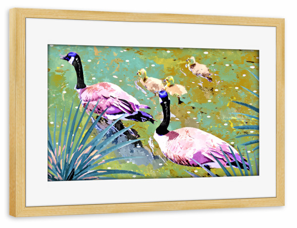 Poster mit Rahmen kiefer "Sei wie Enten in einem Teich" artboxONE - Tiere