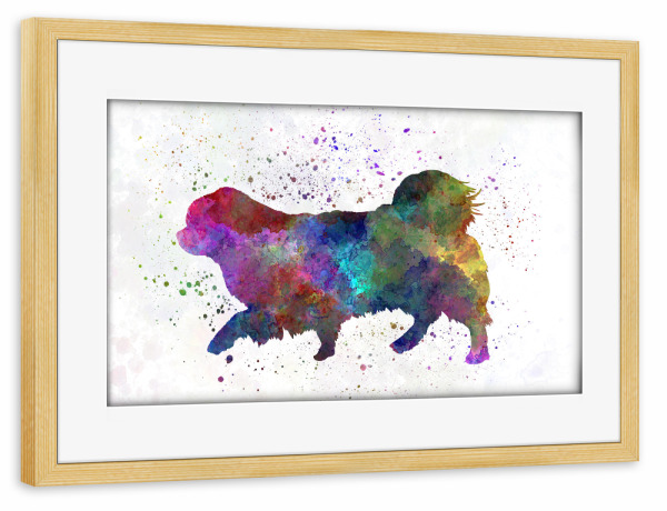 Poster mit Rahmen kiefer "Tibetischer Spaniel im Aquarell" artboxONE - Tiere,Abstrakt