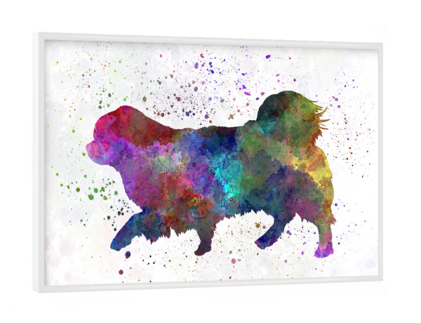 Poster mit weißem Rahmen "Tibetischer Spaniel im Aquarell" artboxONE - Tiere,Abstrakt