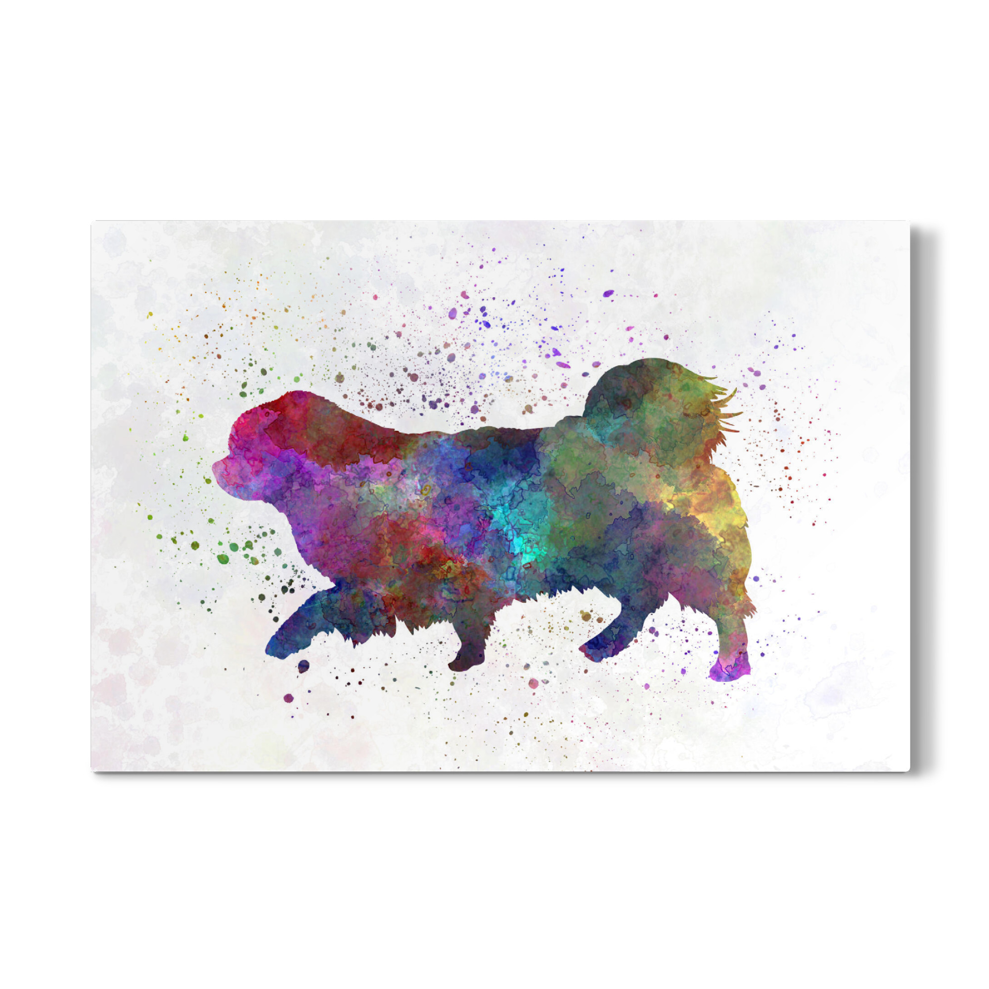 Galerie-Print "Tibetischer Spaniel im Aquarell" 75x50 cm artboxONE