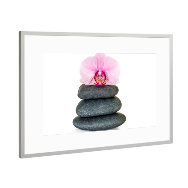 Poster mit Rahmen Silber "Orchidee auf Steinen" artboxONE - Natur,Floral