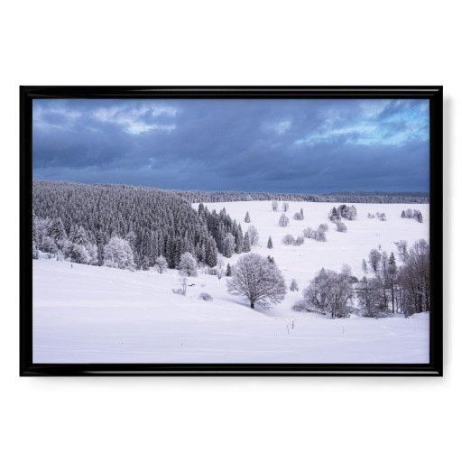Snow, trees and sky Snow, trees and sky