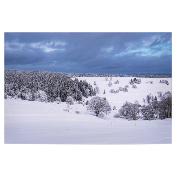 Poster 30x20 cm "Schnee, Bäume und Himmel" artboxONE - Natur,Reise