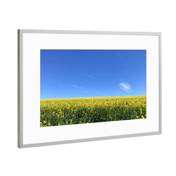 Poster mit Rahmen Silber "Ein Rapsfeld im Frühjahr" artboxONE - Natur