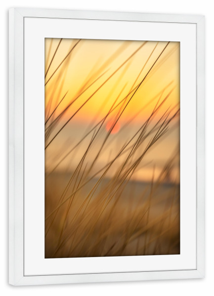 Poster mit Rahmen weiß "Meerblick und Dünengras" artboxONE - Natur,Reise,Reise / Strand und Meer