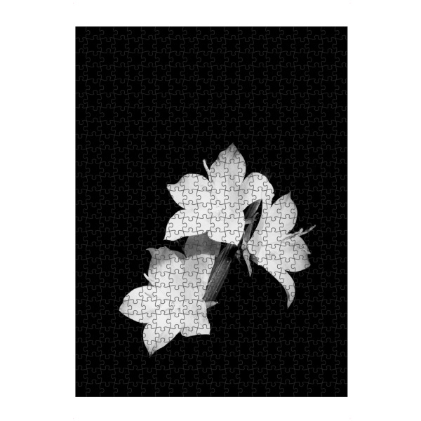 Puzzle Ravensburger "Nachtglockenblumen" artboxONE - Floral,Schwarzweiß - Blüte,Blume,Nacht,Leuchtend,Schwarz-weiß,Monochrom,Stilvoll,Schwarzweiß