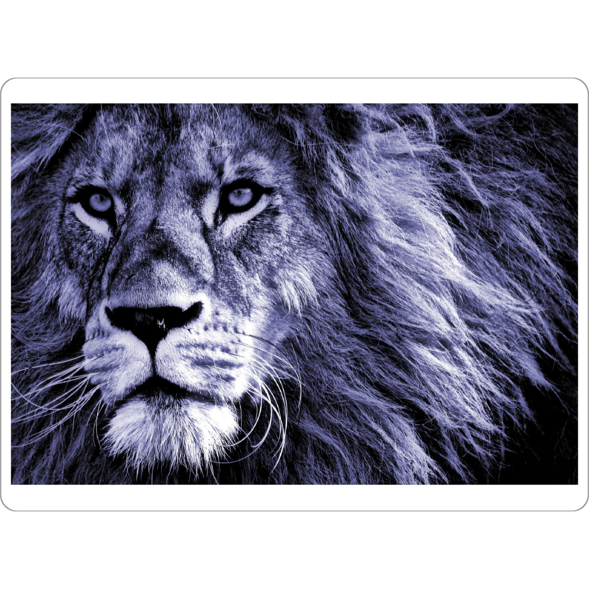 Tischset "Löwen Portrait very peri" artboxONE - Tiere,Abstrakt,Reise / Afrika - Löwe,Portrait,Großkatze,Afrika,Very peri - Bild löwe