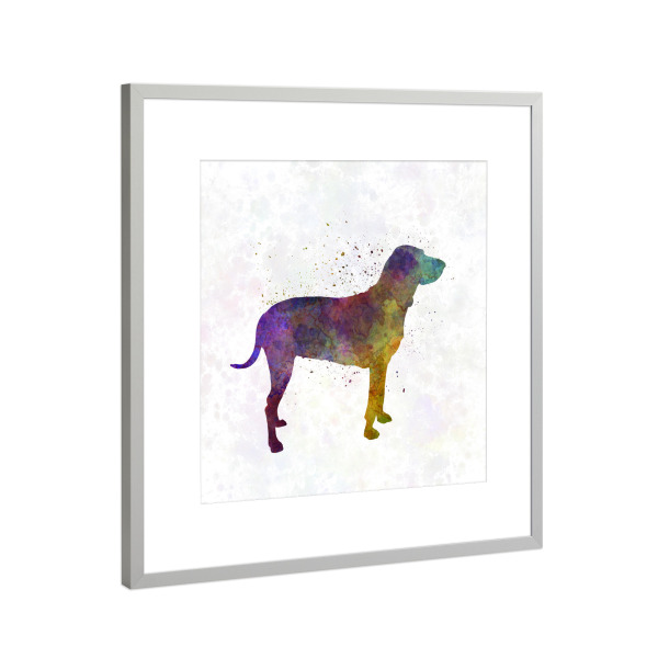 Poster mit Rahmen Silber "Porcelaine in watercolor" artboxONE - Tiere,Abstrakt
