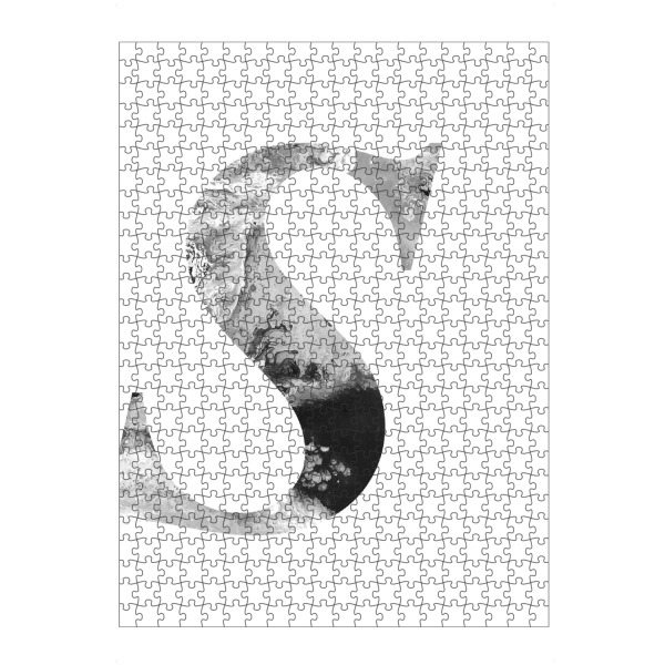 artboxONE Puzzle "Buchstabe Alphabet S" artboxONE - Typografie,Schwarzweiß,Buchstaben,Buchstaben / S