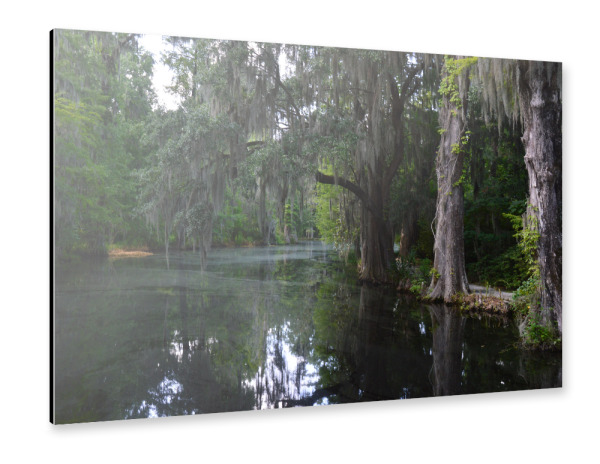 Alu-Dibond "Sumpf in den Südstaaten" 30x20 cm artboxONE