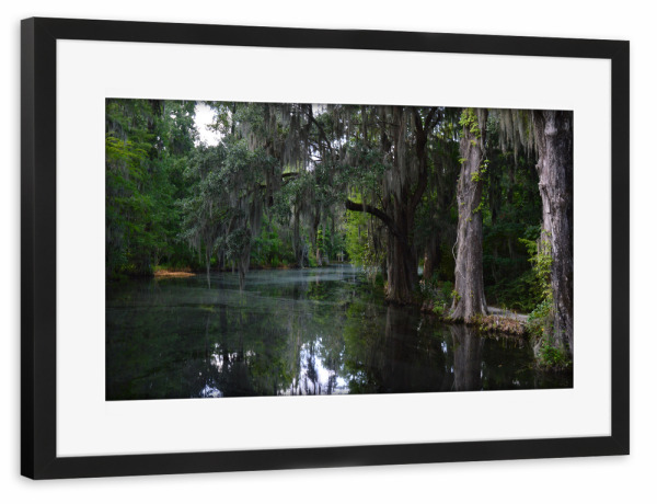 Poster mit Rahmen schwarz "Sumpf in den Südstaaten" artboxONE - Natur,Reise,Reise / Länder