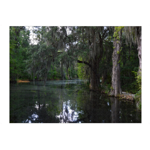 Puzzle Ravensburger "Sumpf in den Südstaaten" artboxONE - Natur,Reise,Reise / Länder