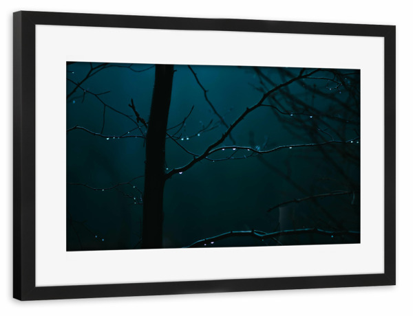 Poster mit Rahmen schwarz "Regentropfen an Ästen" artboxONE - Natur