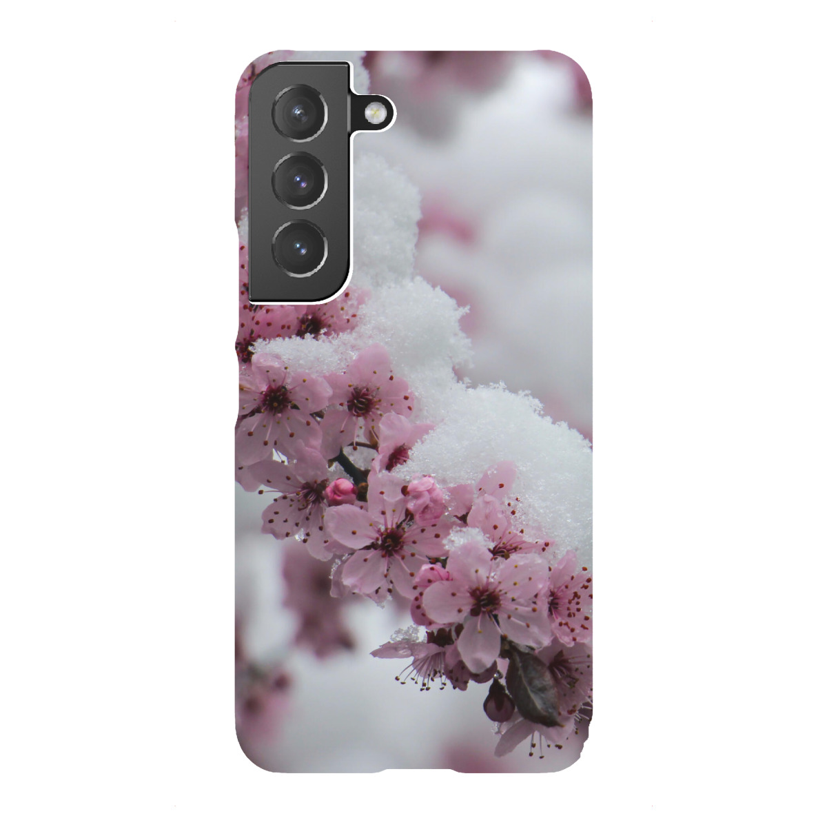 Samsung Galaxy "Kirschblüten im Schnee" Premium-Case Handyhülle artboxONE