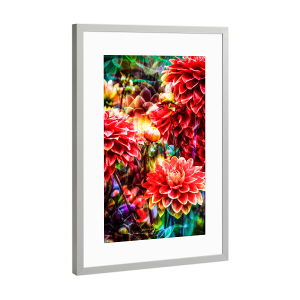 Poster mit Rahmen Silber "Ein Sommertraum" artboxONE - Natur,Floral - Dahlien,Blumenmeer,Blumen,Pflanzen,Botanisch,Bunt