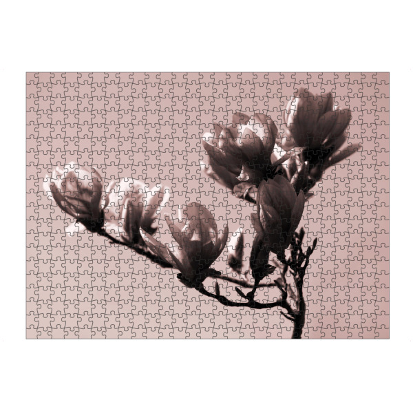 artboxONE Puzzle "Zweig mit Magnolienblüte" artboxONE - Natur,Floral,Abstrakt
