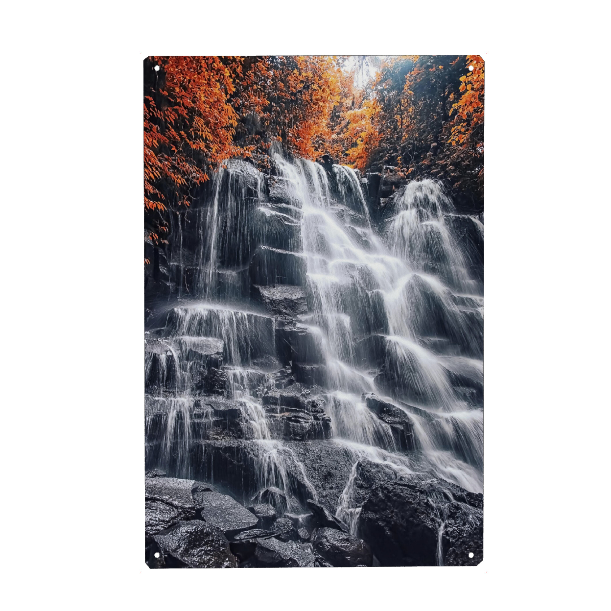 Metall Poster "In den Wäldern" artboxONE - Natur,Reise,Reise / Länder,Für Mama