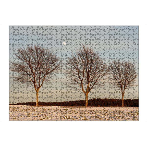 artboxONE Puzzle "Abendlicht im Winter" artboxONE - Natur