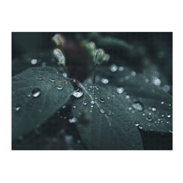 Puzzle Ravensburger "Rainy Day" artboxONE - Natur,Floral - Blätter,Leaves,Wasser,Tropfen,Drops,Water,Rain,Regen - Bild blätter