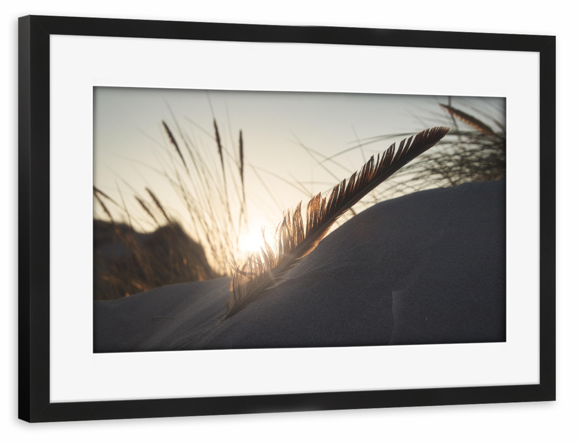 Poster mit Rahmen schwarz "Federleicht im Abendlicht" artboxONE - Natur,Reise,Floral,Reise / Strand und Meer