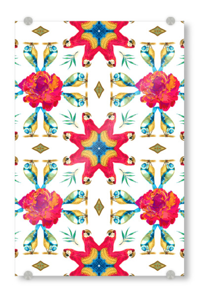 Acrylglasbild "Tropical Scarlet Macaw Mandala" artboxONE - Abstrakt