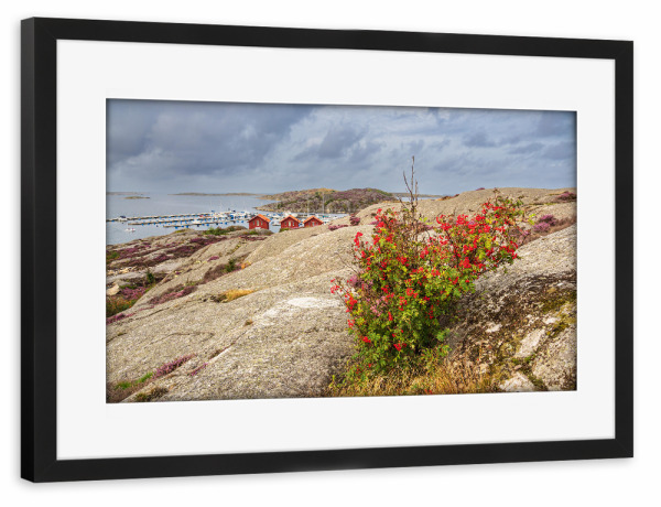 Poster mit Rahmen schwarz "Felsen, Strauch und Meer" artboxONE - Natur,Reise,Reise / Strand und Meer,Reise / Länder